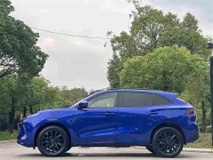 Lexus Fengxing T5 EVO 2021 1.5TD DCT Star Edition - фото 4