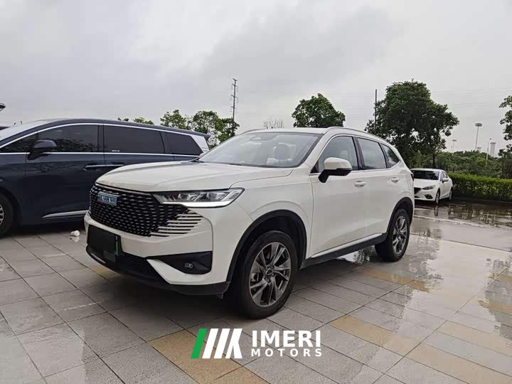 Haval H6 New Energy DHT-PHEV 110KM Yuexing Edition - автомобиль из Китая