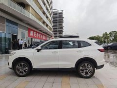 Haval H6 New Energy DHT-PHEV 110KM Yuexing Edition - фото 3
