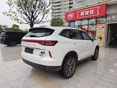 Haval H6 New Energy DHT-PHEV 110KM Yuexing Edition - фото 5