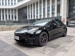 Tesla Model 3 Performance high-performance all-wheel drive version 3D6 - фото 1