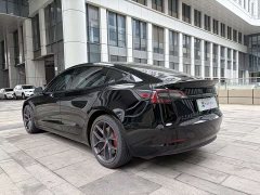 Tesla Model 3 Performance high-performance all-wheel drive version 3D6 - фото 11