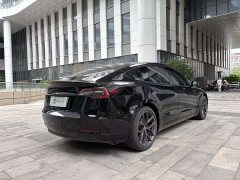 Tesla Model 3 Performance high-performance all-wheel drive version 3D6 - фото 14