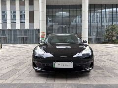 Tesla Model 3 Performance high-performance all-wheel drive version 3D6 - фото 2