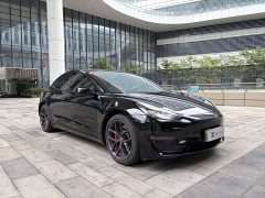 Tesla Model 3 Performance high-performance all-wheel drive version 3D6 - фото 3