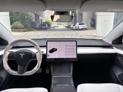 Tesla Model 3 Performance high-performance all-wheel drive version 3D6 - фото 7