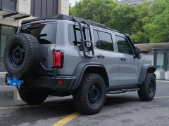 Tank 300 2.0T Tieqi 02 - фото 5