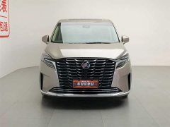 Buick GL8 ES Land Business Luxury - фото 2
