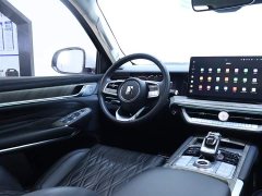 Tank 500 3.0T sports version, environment type, 7 seats - фото 14