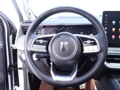 Tank 500 3.0T sports version, environment type, 7 seats - фото 16