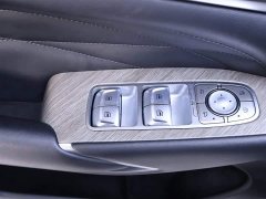 Tank 500 3.0T sports version, environment type, 7 seats - фото 17