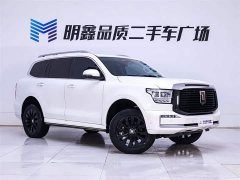 Tank 500 3.0T sports version, environment type, 7 seats - фото 5
