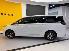Trumpchi M8 Lead Show Series 390T Exclusive Edition - фото 11