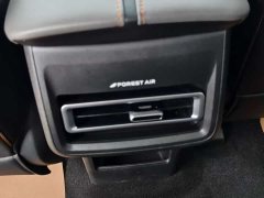 Changan Auchan Z6 2023 Blue Whale 2.0T automatic smart remote - фото 10