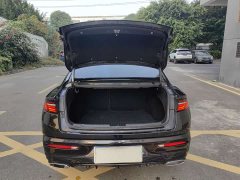 Lexus Xingrui 2.0TD luxury - фото 8