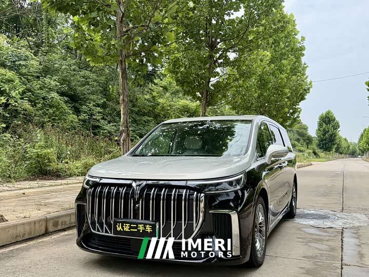 Voyah Lantu Dreamer 2022 low carbon version home - автомобиль из Китая
