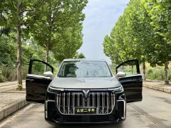 Voyah Lantu Dreamer 2022 low carbon version home - фото 3