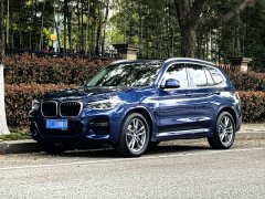 BMW X3 xDrive28i M Sport Package - фото 1