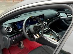 Mercedes-Benz AMG GT AMG GT 50 four-door sports car - фото 11