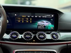 Mercedes-Benz AMG GT AMG GT 50 four-door sports car - фото 13