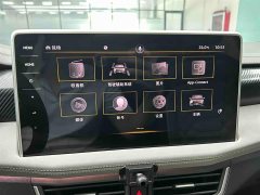Lexus Tanyue 280TSI two-wheel drive luxury Plus advanced version - фото 7