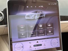 Maybach S-Class facelift S 480 4MATIC - фото 19