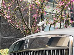 Rolls-Royce Cullinan 2021 four-seat version - фото 7