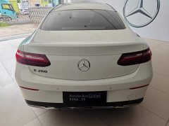 Mercedes-Benz E-Class (Imported) E 260 Coupe - фото 5