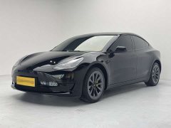 Tesla Model 3 2022 rear-wheel drive version - фото 1