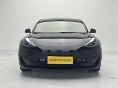 Tesla Model 3 2022 rear-wheel drive version - фото 2