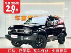 Tank 300 City Edition 2.0T Very Stylish - фото 2