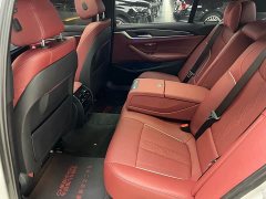 BMW 5 Series facelift 530Li leading M sports package - фото 10