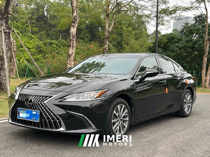 Lexus ES 2023 200 Excellence Edition - автомобиль из Китая