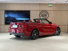 BMW 2 Series (Import) 2019 225i Convertible M Sport Package - фото 7
