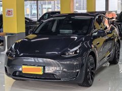 Tesla Model Y long-range all-wheel drive version - фото 1