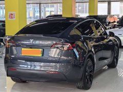 Tesla Model Y long-range all-wheel drive version - фото 16