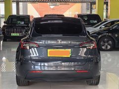 Tesla Model Y long-range all-wheel drive version - фото 17
