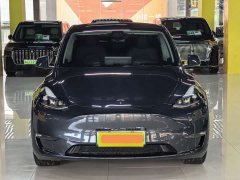 Tesla Model Y long-range all-wheel drive version - фото 2