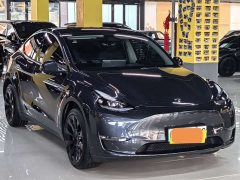 Tesla Model Y long-range all-wheel drive version - фото 3