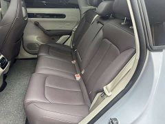 Lynk & Co Leapmoon C11 Extended Range 285 Comfort Edition - фото 13