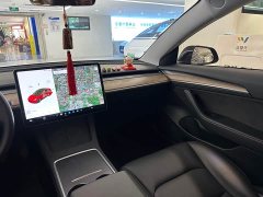 Tesla Model 3 standard range rear drive upgraded version 3D6 - фото 18