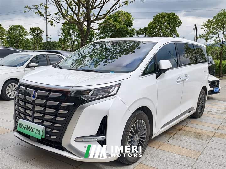 Denza D9 2022 DM-i 1040 Premium Type - автомобиль из Китая