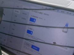 Li Auto Ideal L9 Max - фото 10