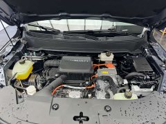Buick Landian E5 PLUS 165km long range version 5 seats - фото 16