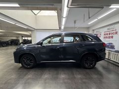 Buick Landian E5 PLUS 165km long range version 5 seats - фото 4