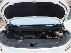 BMW Century 2.0T Six-seater Yuanshi Edition - фото 11