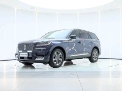 BMW Aviator 2023 3.0T V6 four-wheel drive exclusive cruise version, six seats - фото 1