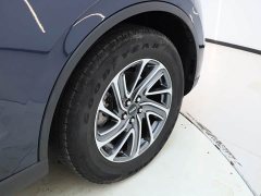 BMW Aviator 2023 3.0T V6 four-wheel drive exclusive cruise version, six seats - фото 15