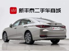 Lexus ES 2021 200 Deluxe Edition - фото 6