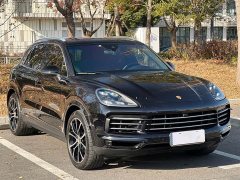 Porsche Cayenne 3.0T Platinum Edition - фото 3